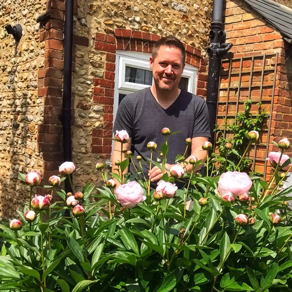 Peonies: Everything You Want to Know About Peony Plants for Your Garden