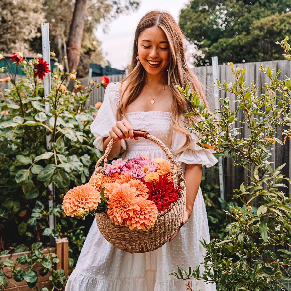 Dahlia flower meaning