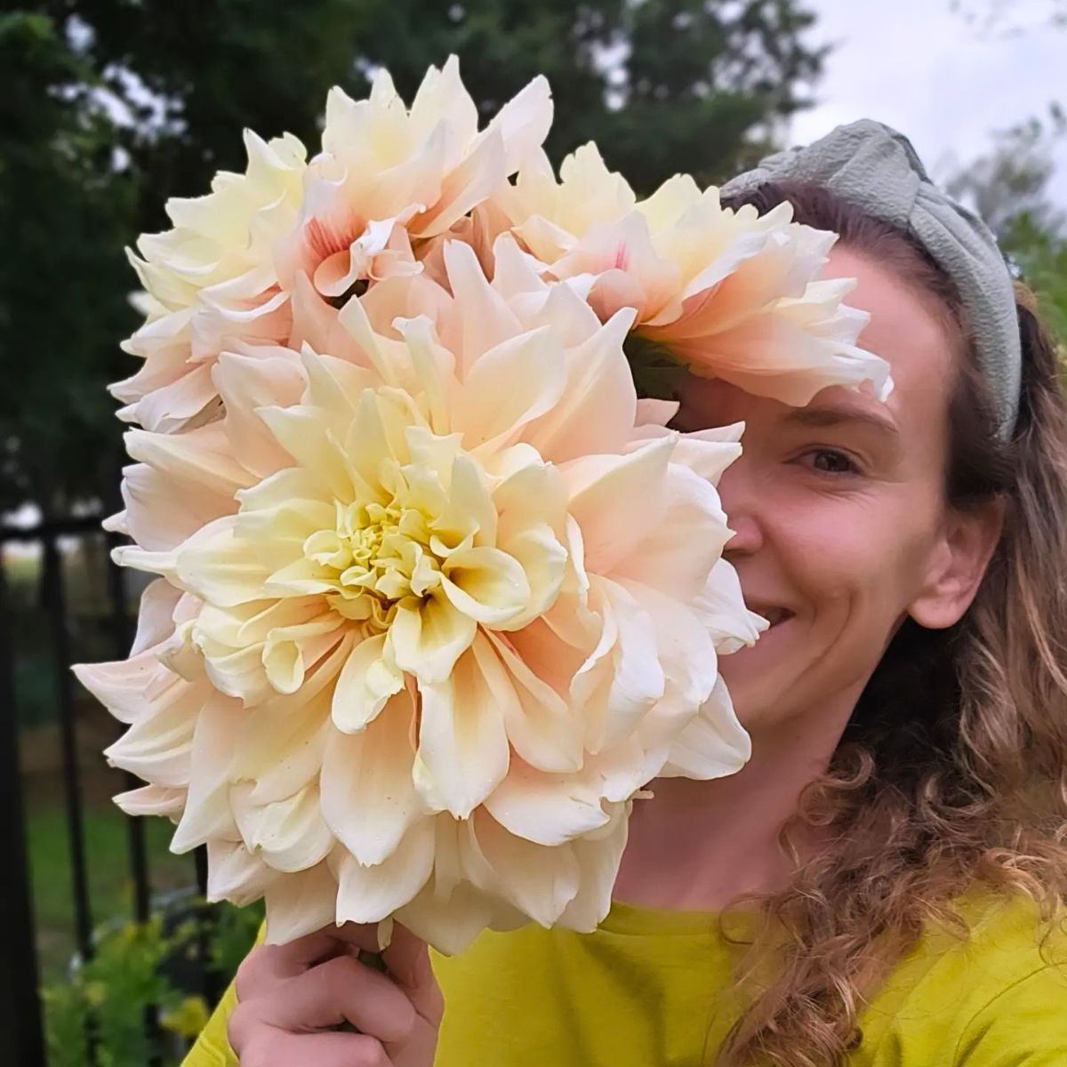 Dahlia flower meaning