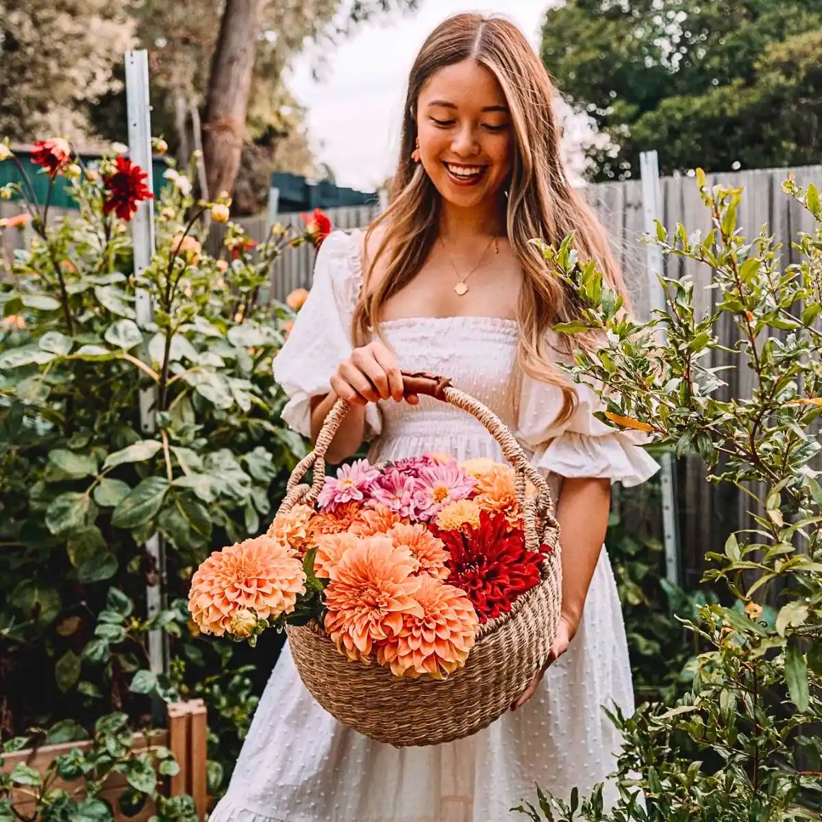 Dahlia flower meaning