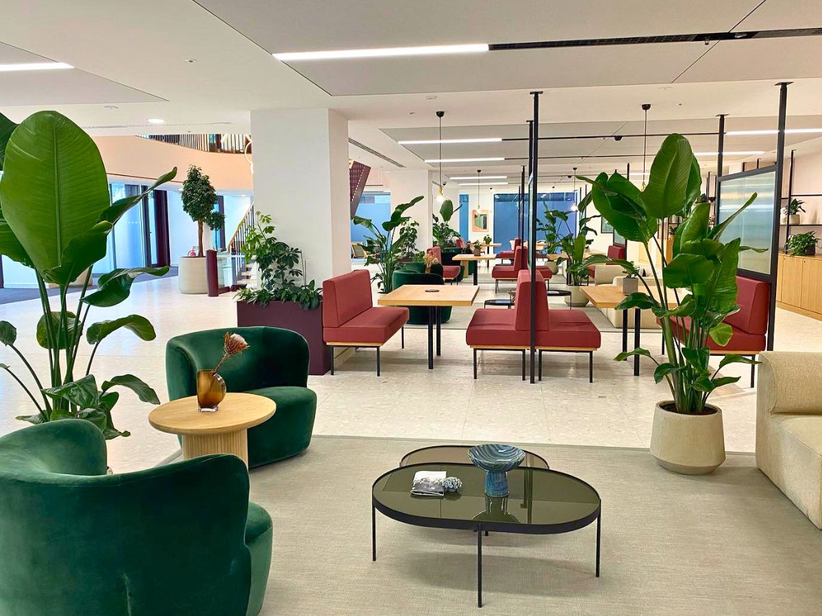 Office plants improves productivity and wellbeing