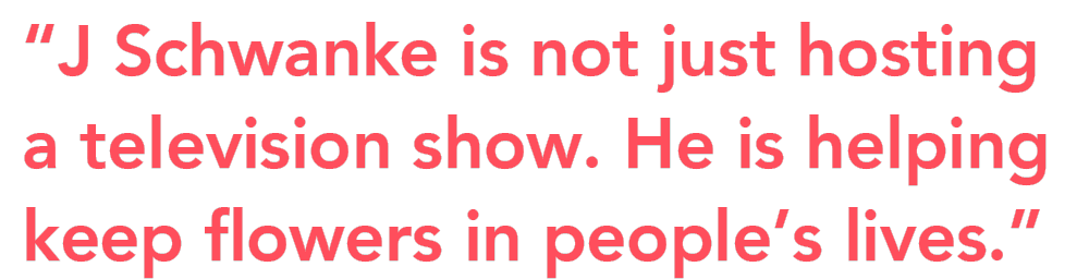 Williee Armellini blog J Schwanke quote