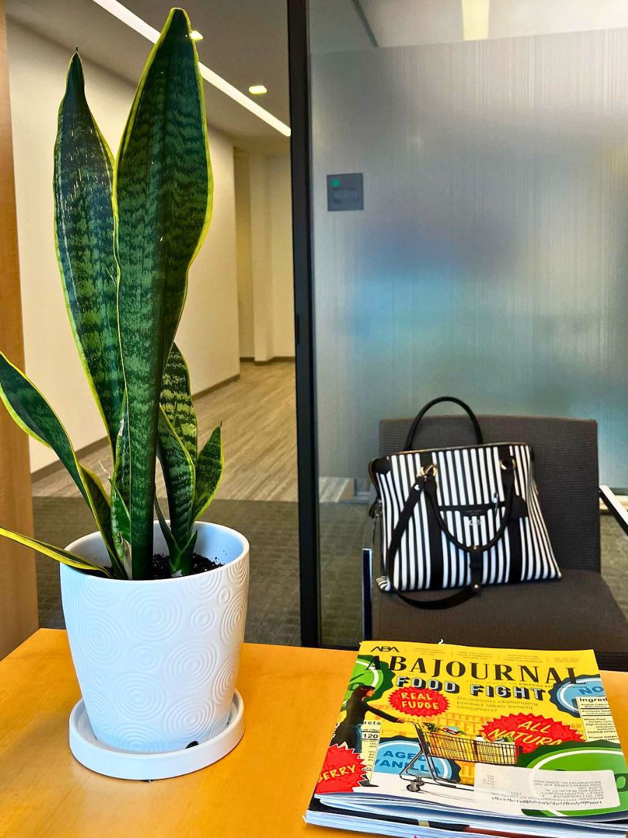 Office desk plants make things a little better