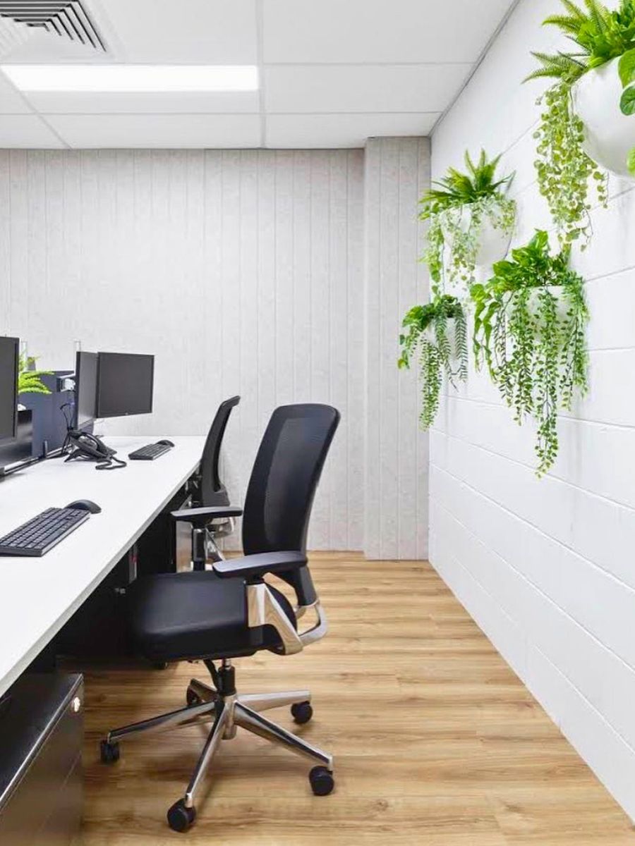 Enhance your workspace with plants