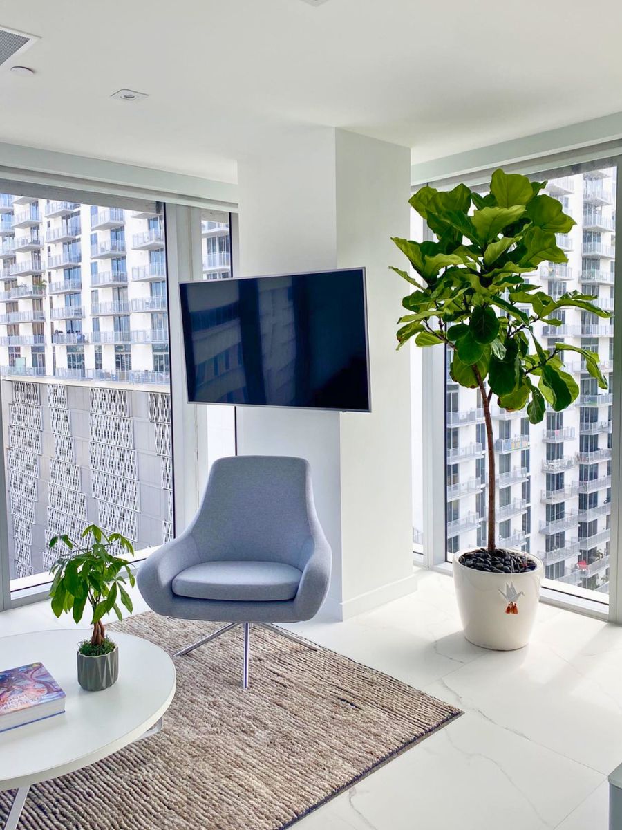 Plants in the workspace