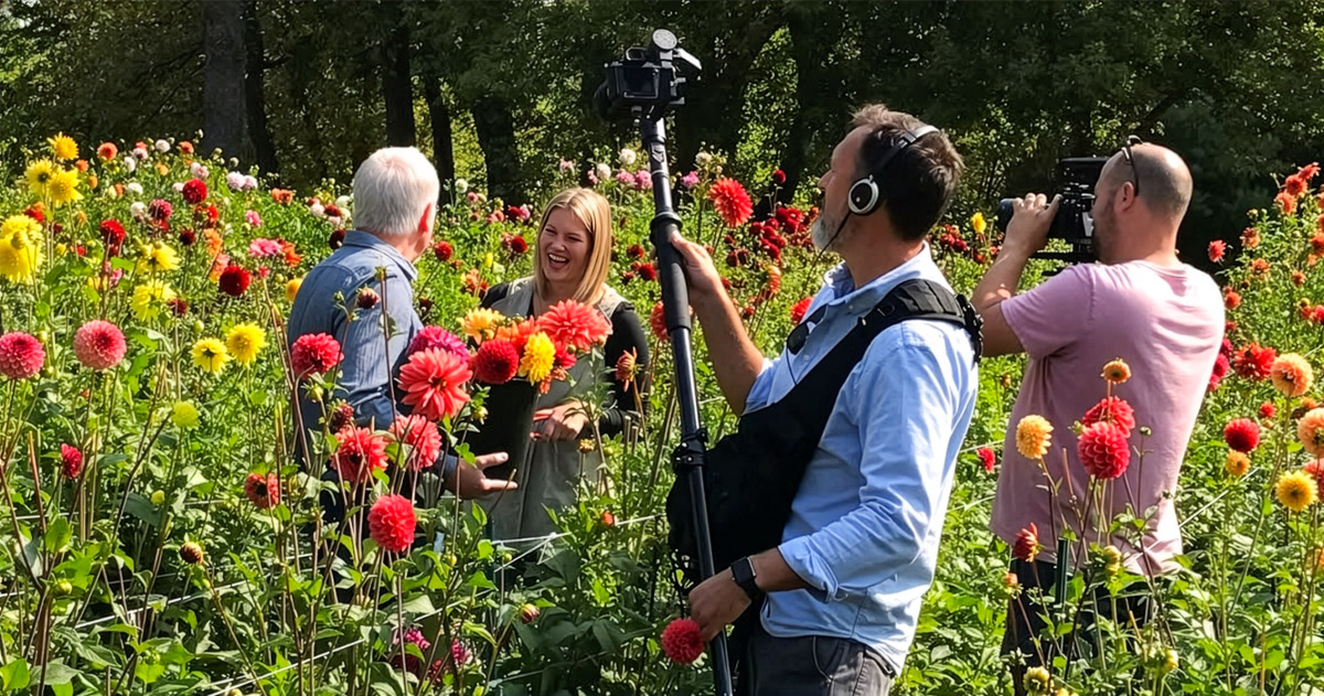 Dahlias from Hope Dahlias flower farm