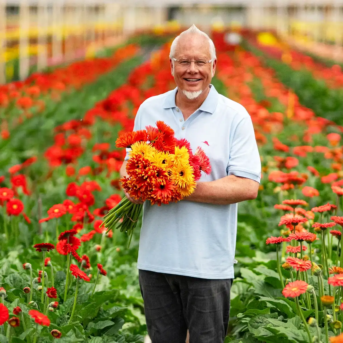 Williee Armellini blog J Schwanke