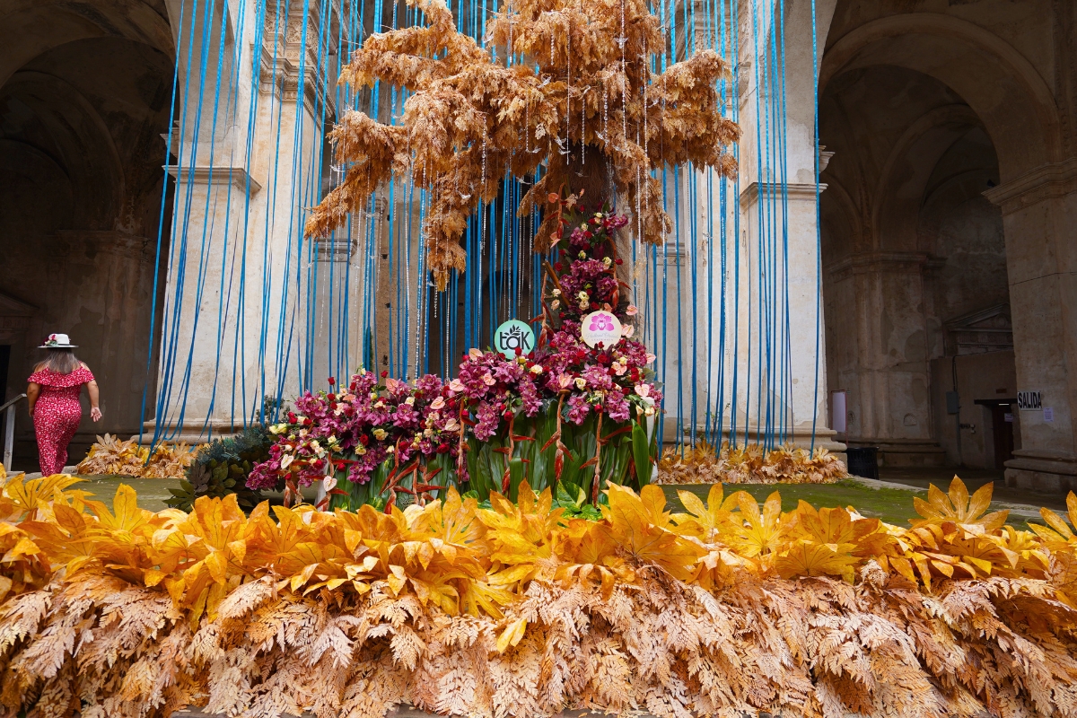 TAK colorful foliage for events