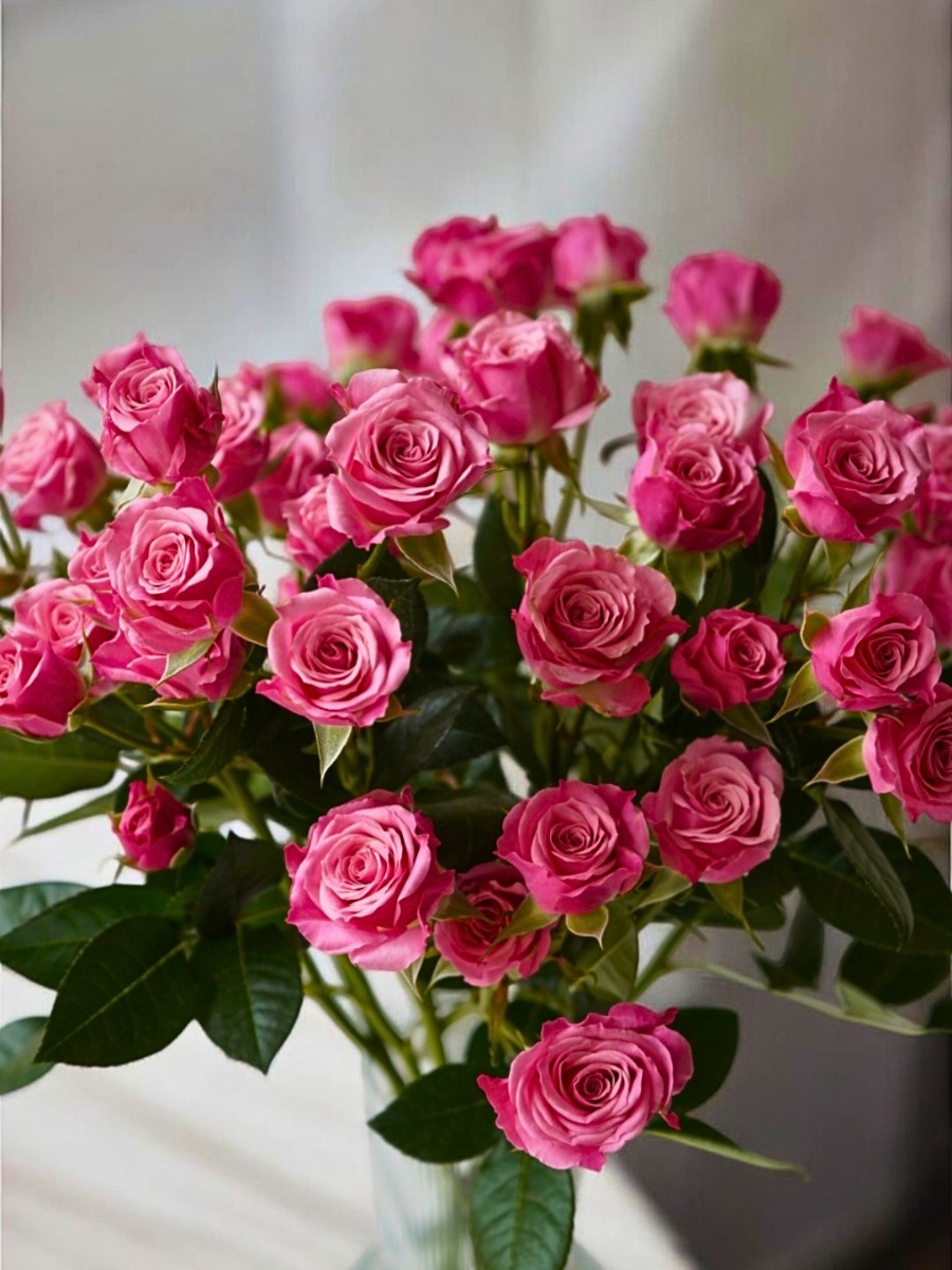 The Most Beautiful Roses to Give This Mother&rsquo;s Day, From United Selections