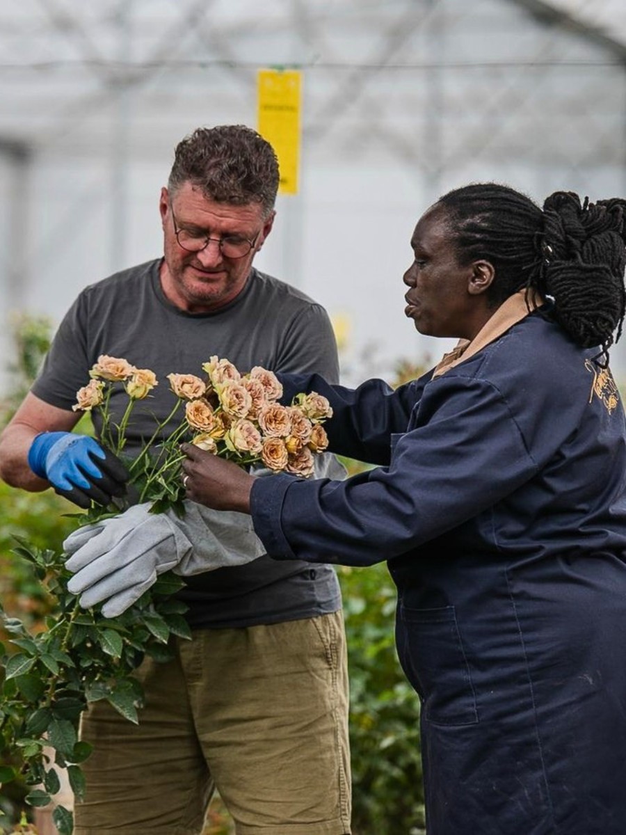 The Kenya Flower Council (KFC) Has Been Instrumental in Championing Kenyan Flowers Through Sustainable Floriculture and Good Practices Maintaining Kenyan Flowers&rsquo; Competitive Edge Globally.