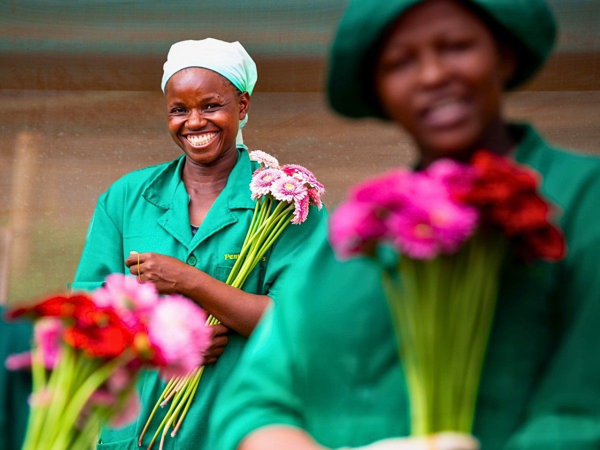 The Force at the Helm of an Industry Built on Sustainability The Kenya Flower Council has been instrumental in shaping the industry&rsquo;s growth, sustainability, and global competitiveness.