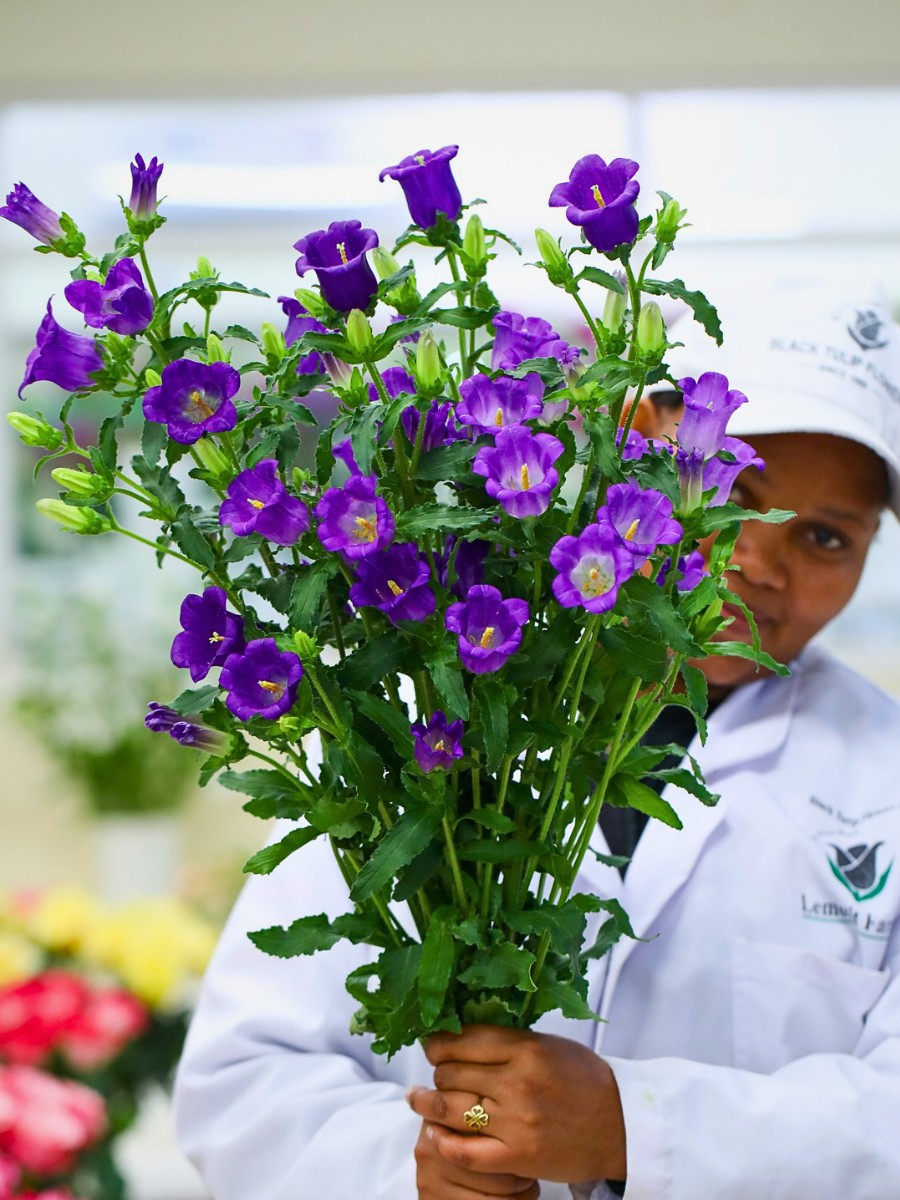 The Kenya Flower Council (KFC) Has Been Instrumental in Championing Kenyan Flowers Through Sustainable Floriculture and Good Practices Maintaining Kenyan Flowers&rsquo; Competitive Edge Globally.