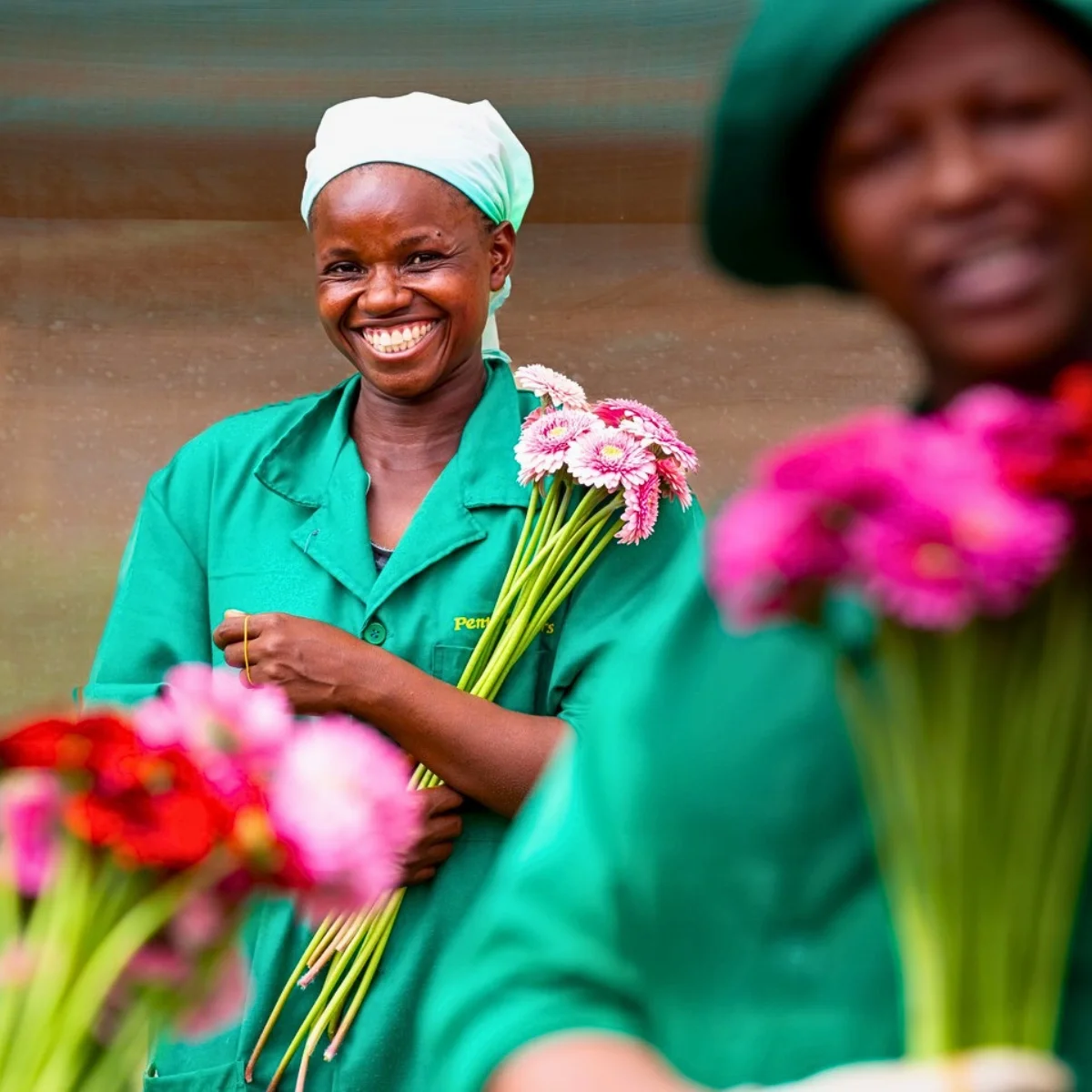 The Kenya Flower Council (KFC) Has Been Instrumental in Championing Kenyan Flowers Through Sustainable Floriculture and Good Practices Maintaining Kenyan Flowers’ Competitive Edge Globally.