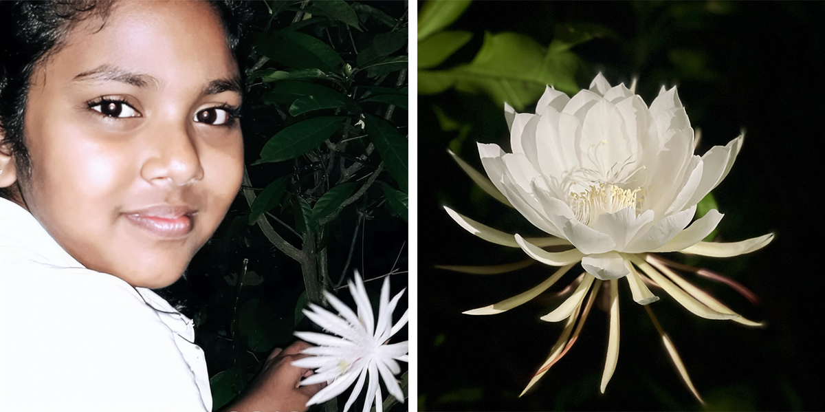 Girl with Kadupul flower blooming at night