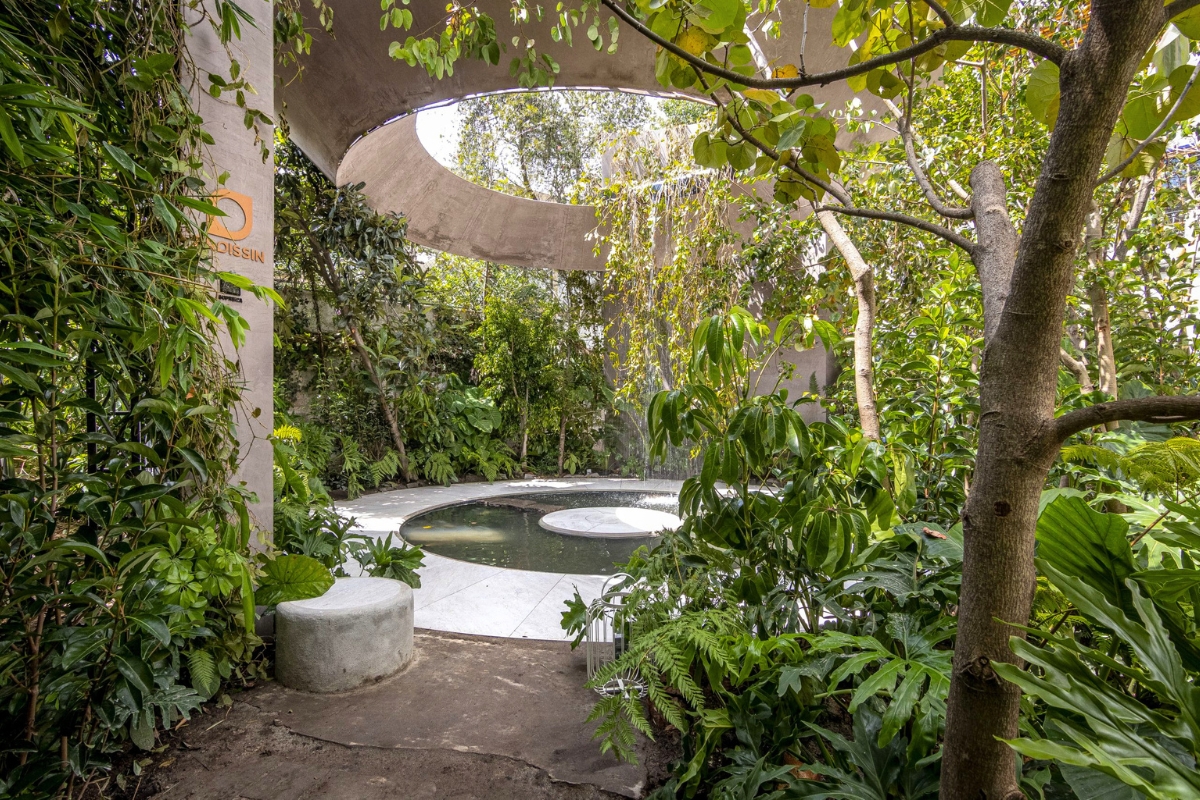 Plants surrounding the cascade