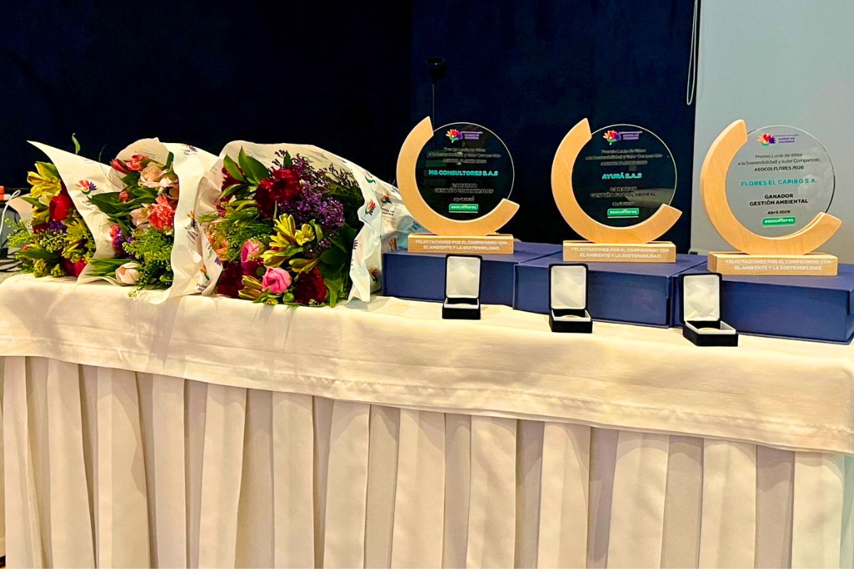 Awards at Lucia Velez