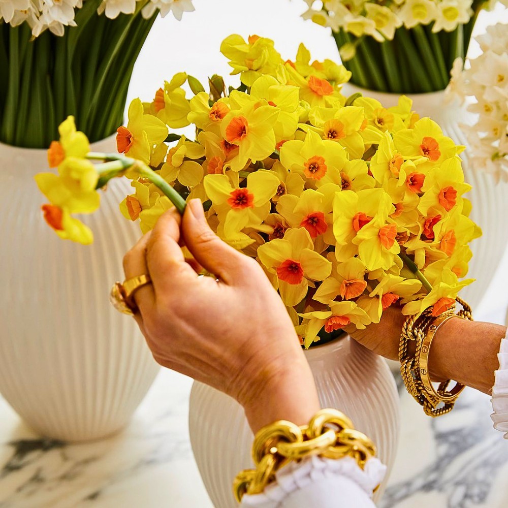 Can Sugar Help Your Cut Flowers Last Longer in the Vase?
