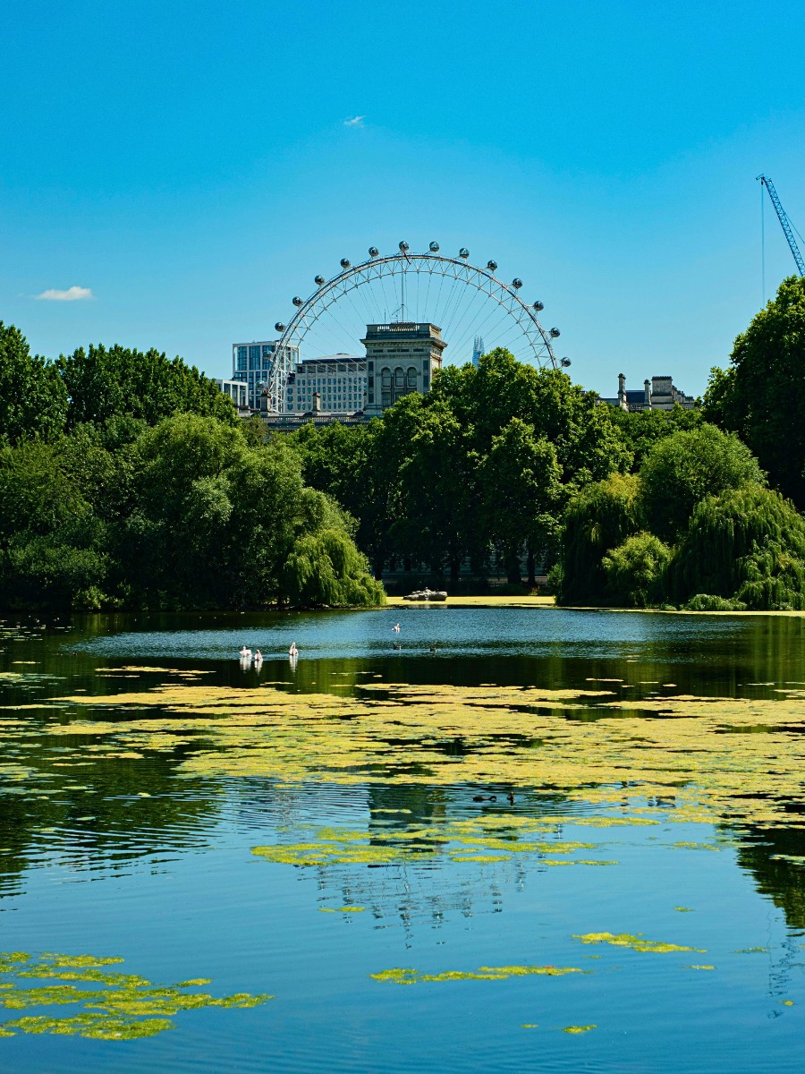 What Are the AIPH World Green City Awards?