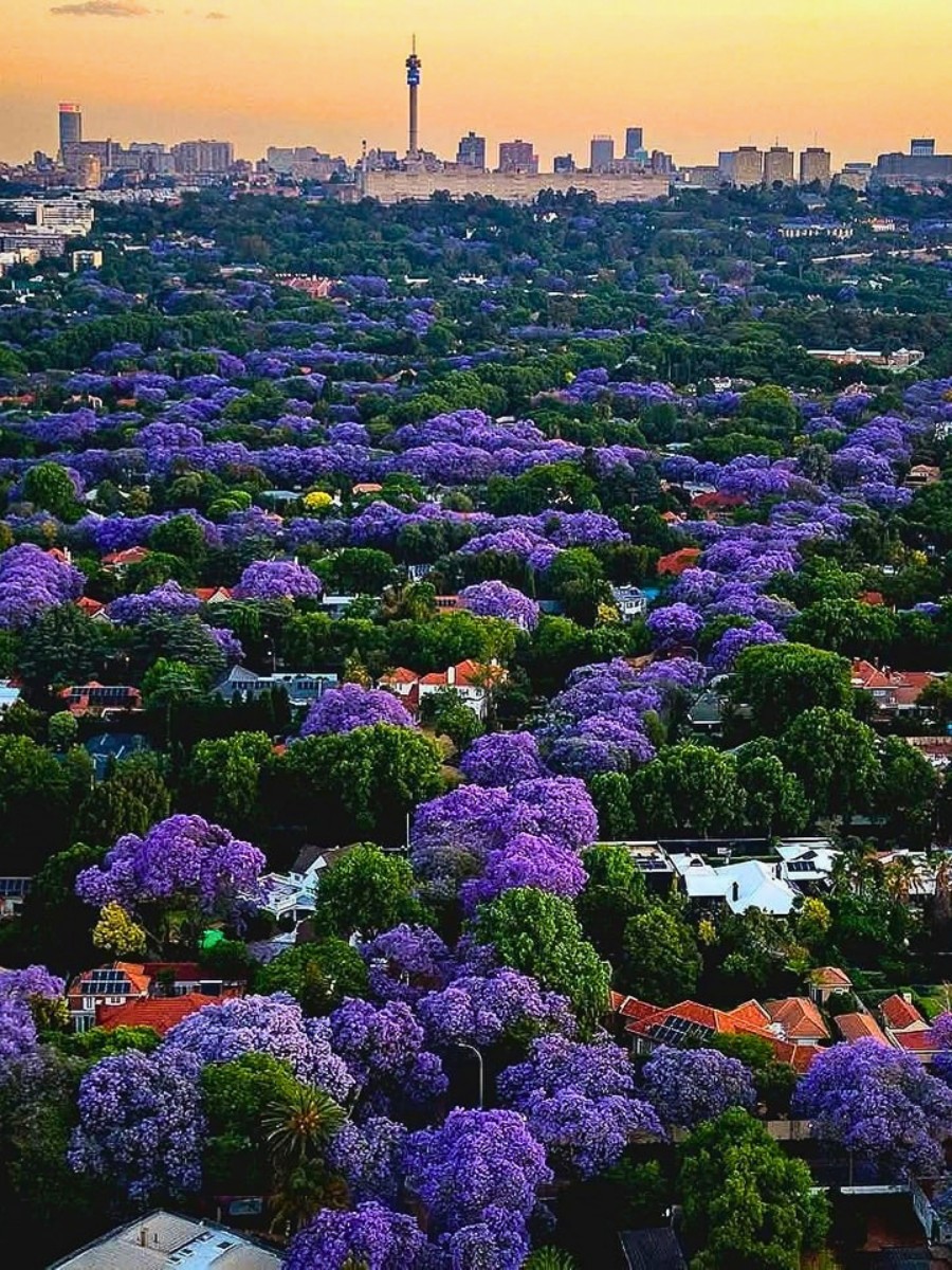 21 Cities Picked as Finalists for Showing How Plants Can Solve the Toughest Urban Problems