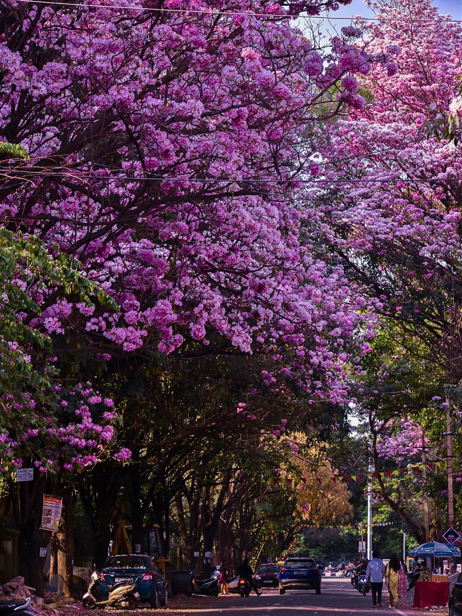 International Association of Horticultural Producers (AIPH) announced the 21 finalists for the AIPH World Green City Awards 2026