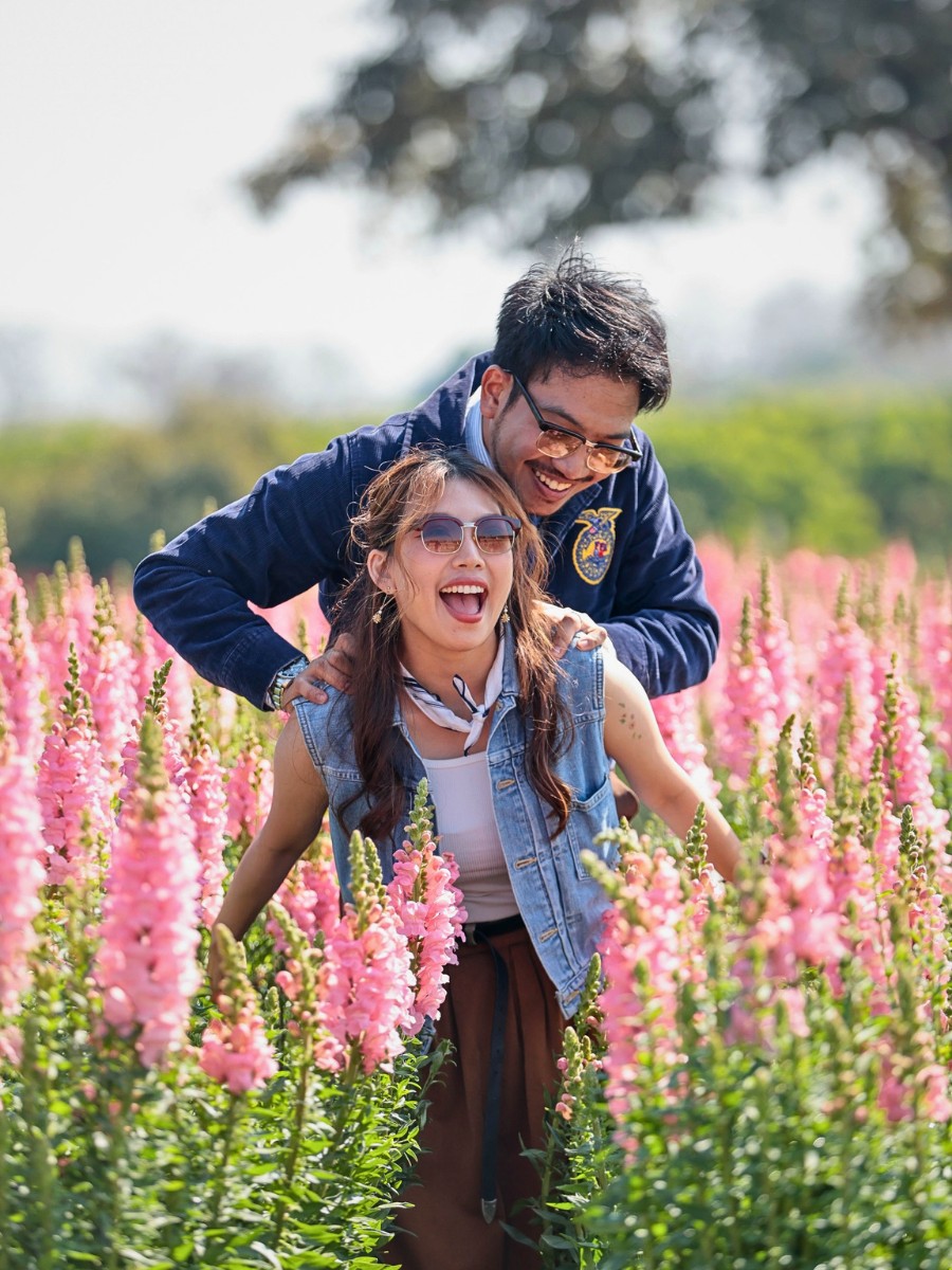 International Association of Horticultural Producers (AIPH) announced the 21 finalists for the AIPH World Green City Awards 2026