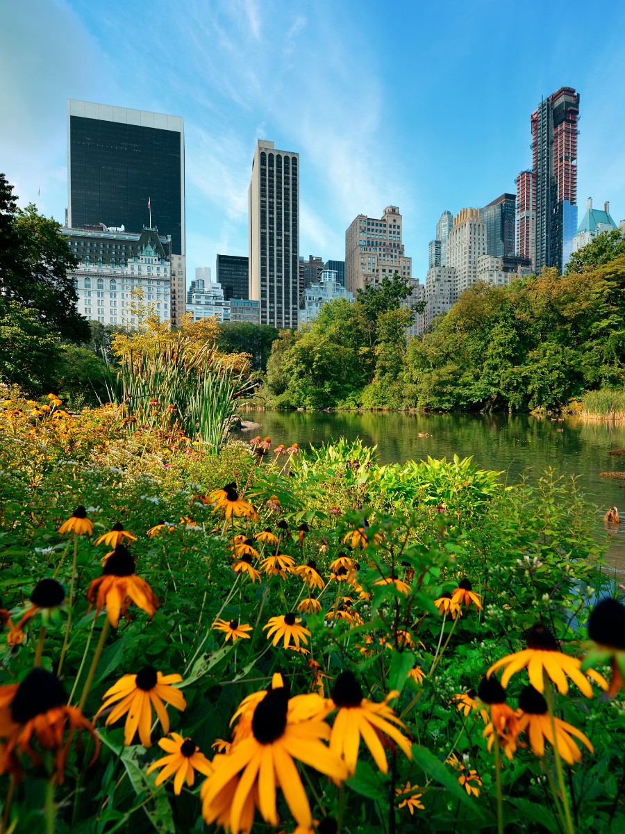 International Association of Horticultural Producers Announced the 21 Finalists for the AIPH World Green City Awards 2026.