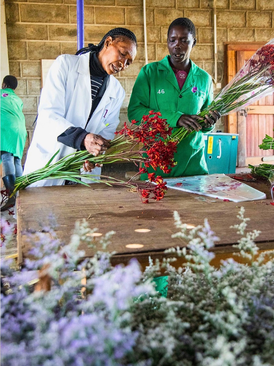 The Women Behind Kenya&rsquo;s Flowers: On Mother&rsquo;s Day, Here&rsquo;s How the Kenya Flower Council (KFC) Has Championed Gender Equity in Kenyan Floriculture.