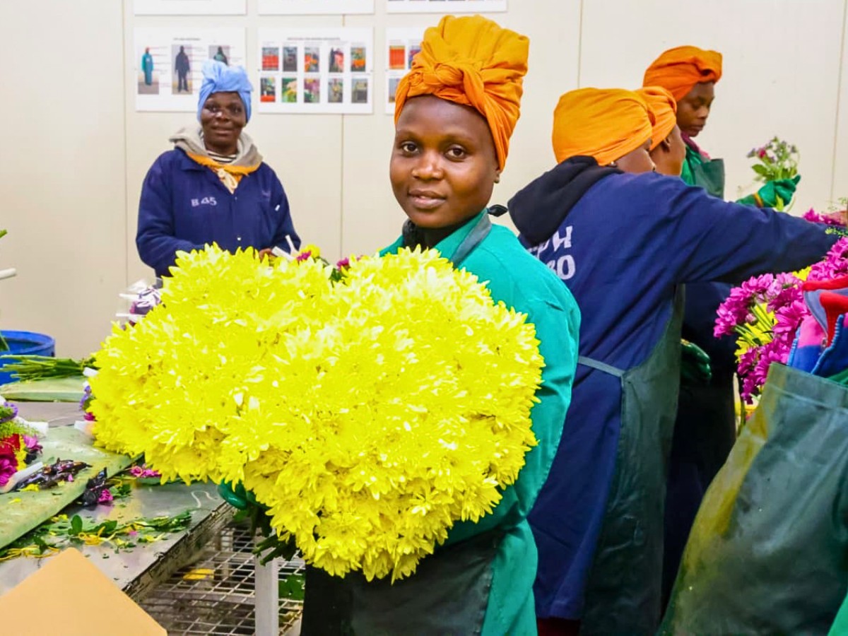 The Women Behind Kenya&rsquo;s Flowers: On Mother&rsquo;s Day, Here&rsquo;s How the Kenya Flower Council (KFC) Has Championed Gender Equity in Kenyan Floriculture.