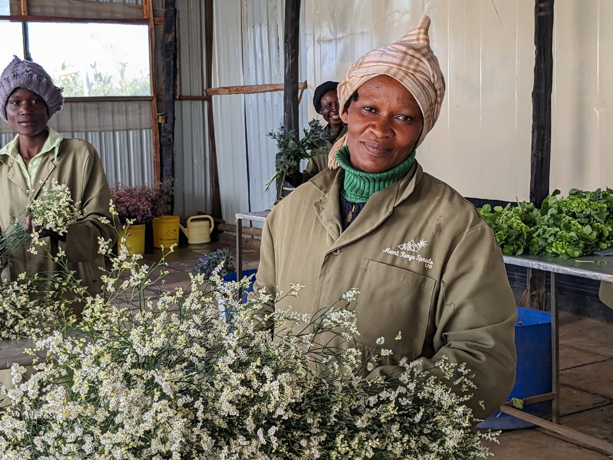 The Women Behind Kenya&rsquo;s Flowers: On Mother&rsquo;s Day, Here&rsquo;s How the Kenya Flower Council (KFC) Has Championed Gender Equity in Kenyan Floriculture.