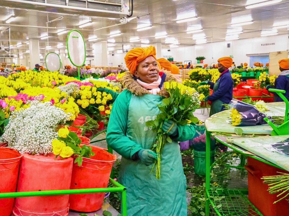 The Women Behind Kenya&rsquo;s Flowers: On Mother&rsquo;s Day, Here&rsquo;s How the Kenya Flower Council (KFC) Has Championed Gender Equity in Kenyan Floriculture.
