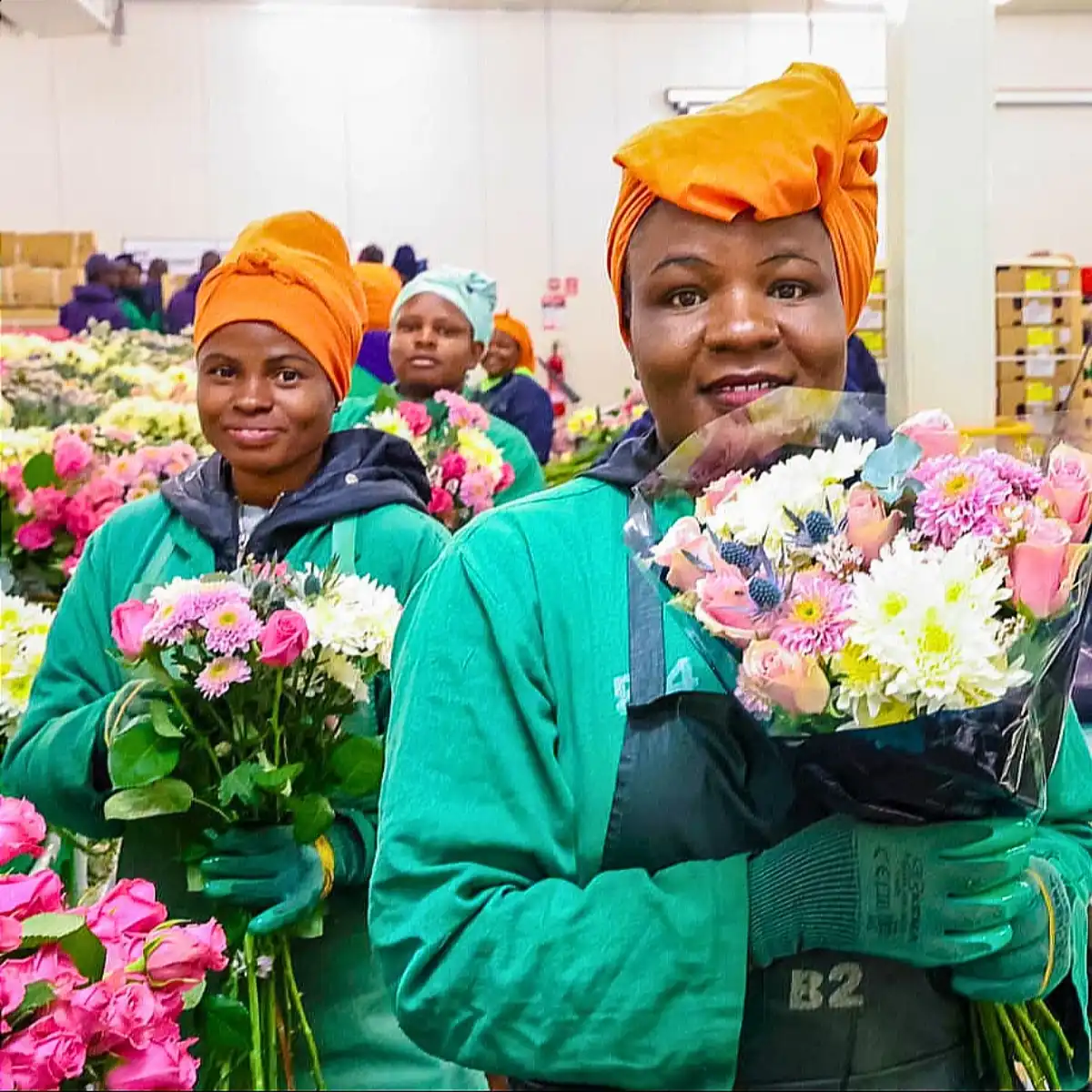 The Women Behind Kenya’s Flowers: On Mother’s Day, Here’s How the Kenya Flower Council (KFC) Has Championed Gender Equity in Kenyan Floriculture.