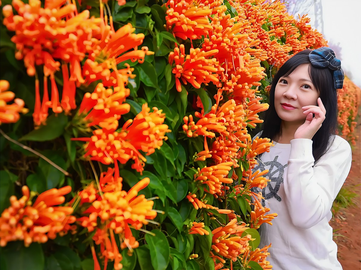 Flowering Vines That Will Look Good Added to Your Garden