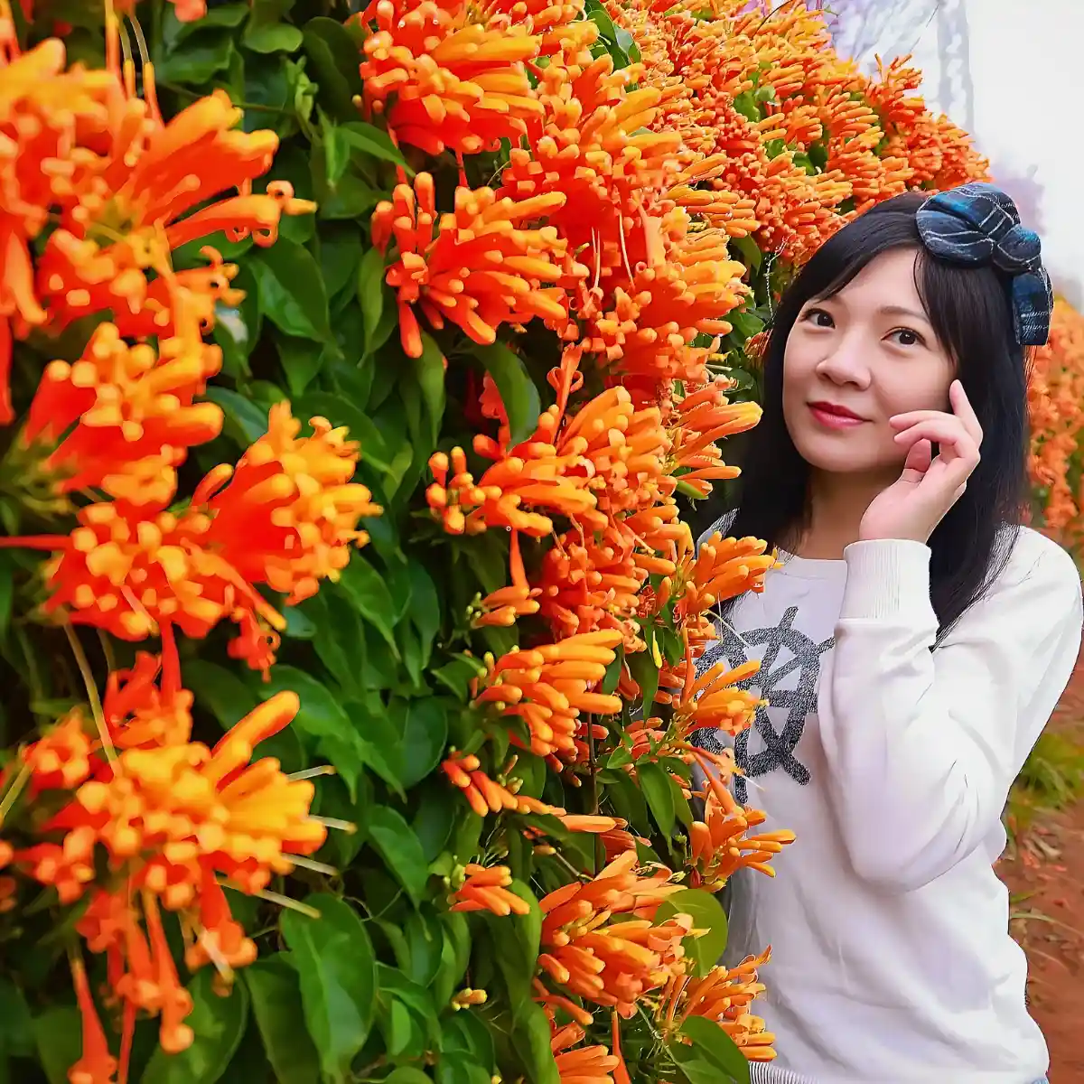 15 Flowering Vines That Will Look Good Added to Your Garden - Thursd Article - Featured Image