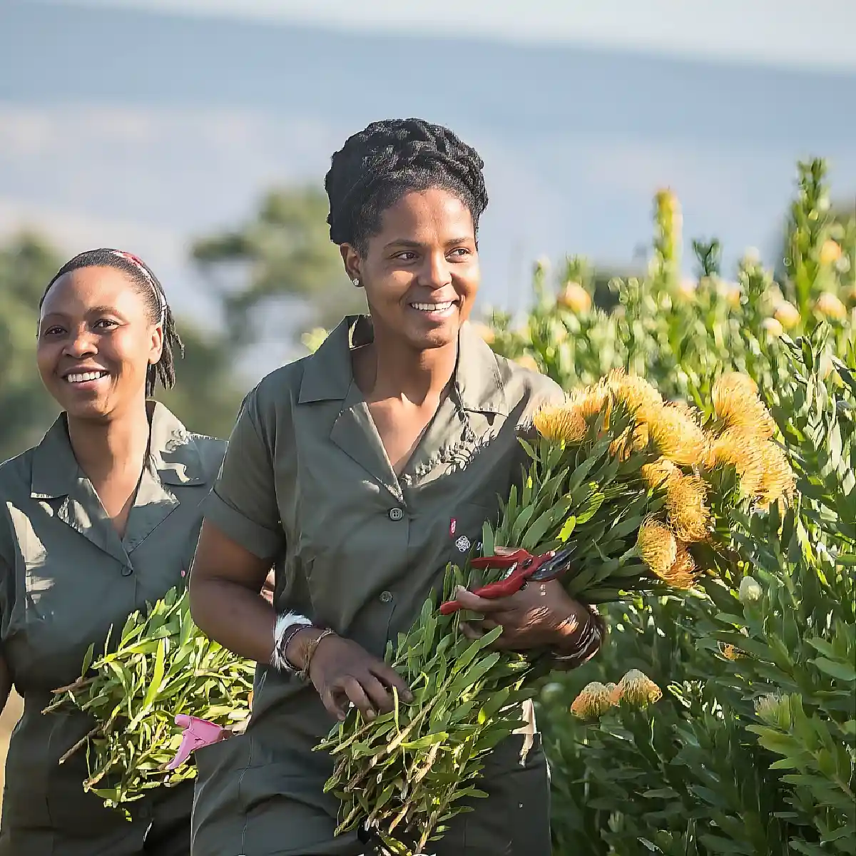 The Essential Nexus Between Biodiversity Conservation and Sustainable Floriculture