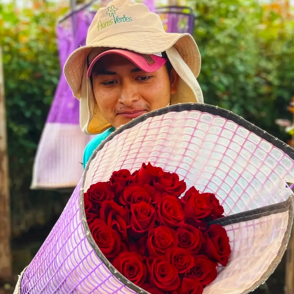 Flores Verdes grower on Thursd feature