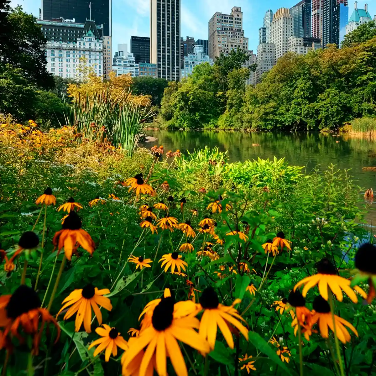 21 Cities Picked as Finalists for Showing How Plants Can Solve Incessant Urban Problems