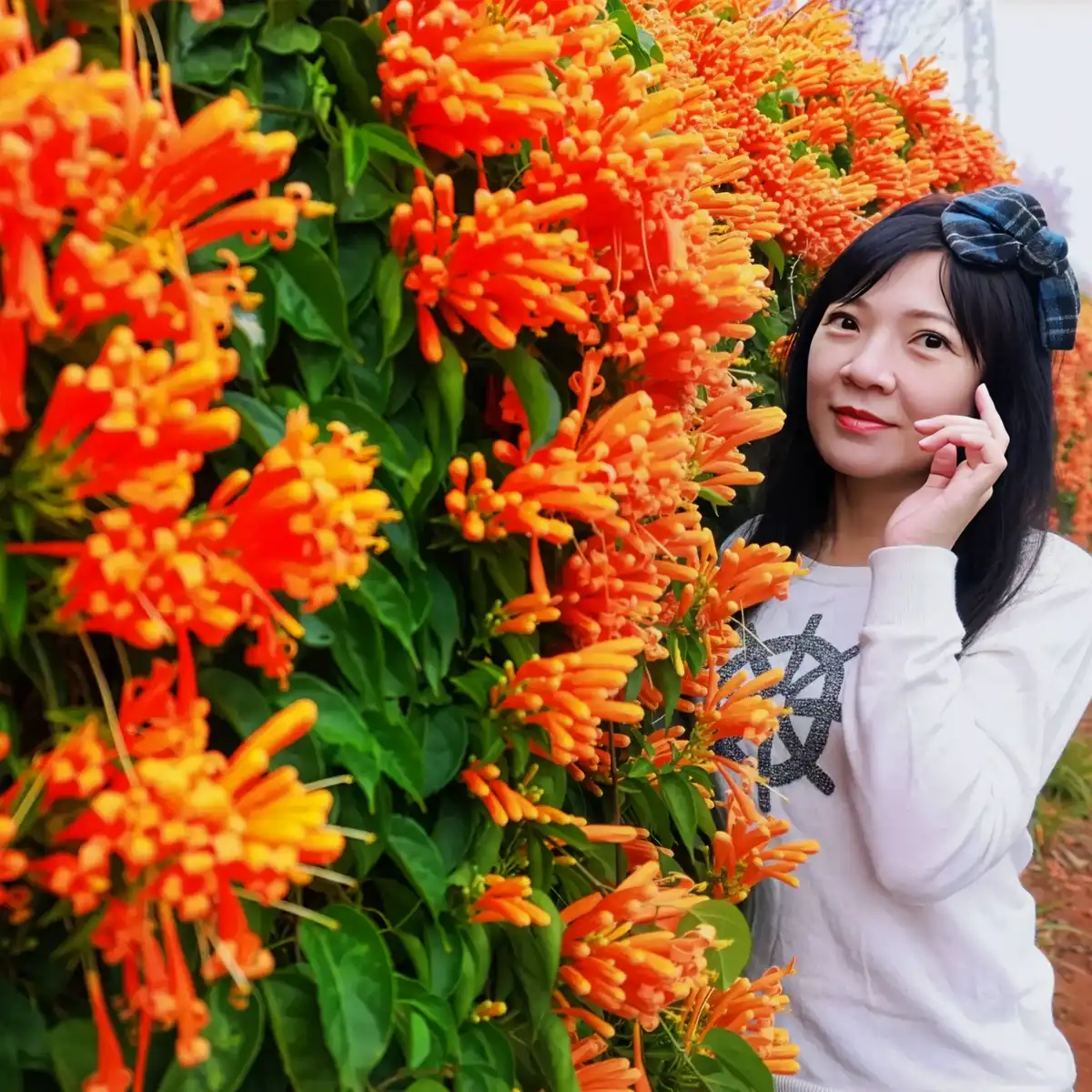 15 Flowering Vines That Will Look Great Added to Your Garden