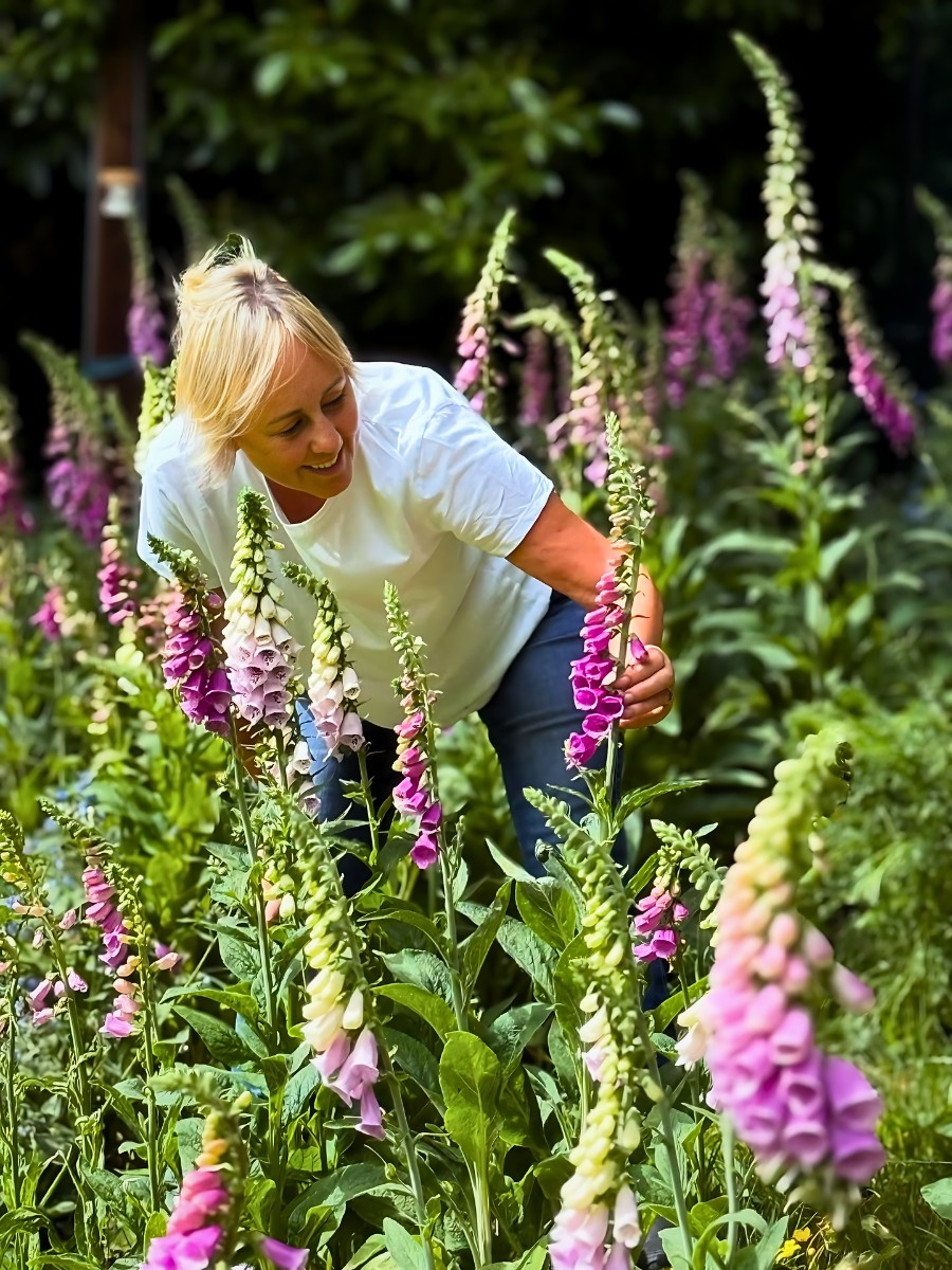 Which Flowers Create a Wild Garden Look?
