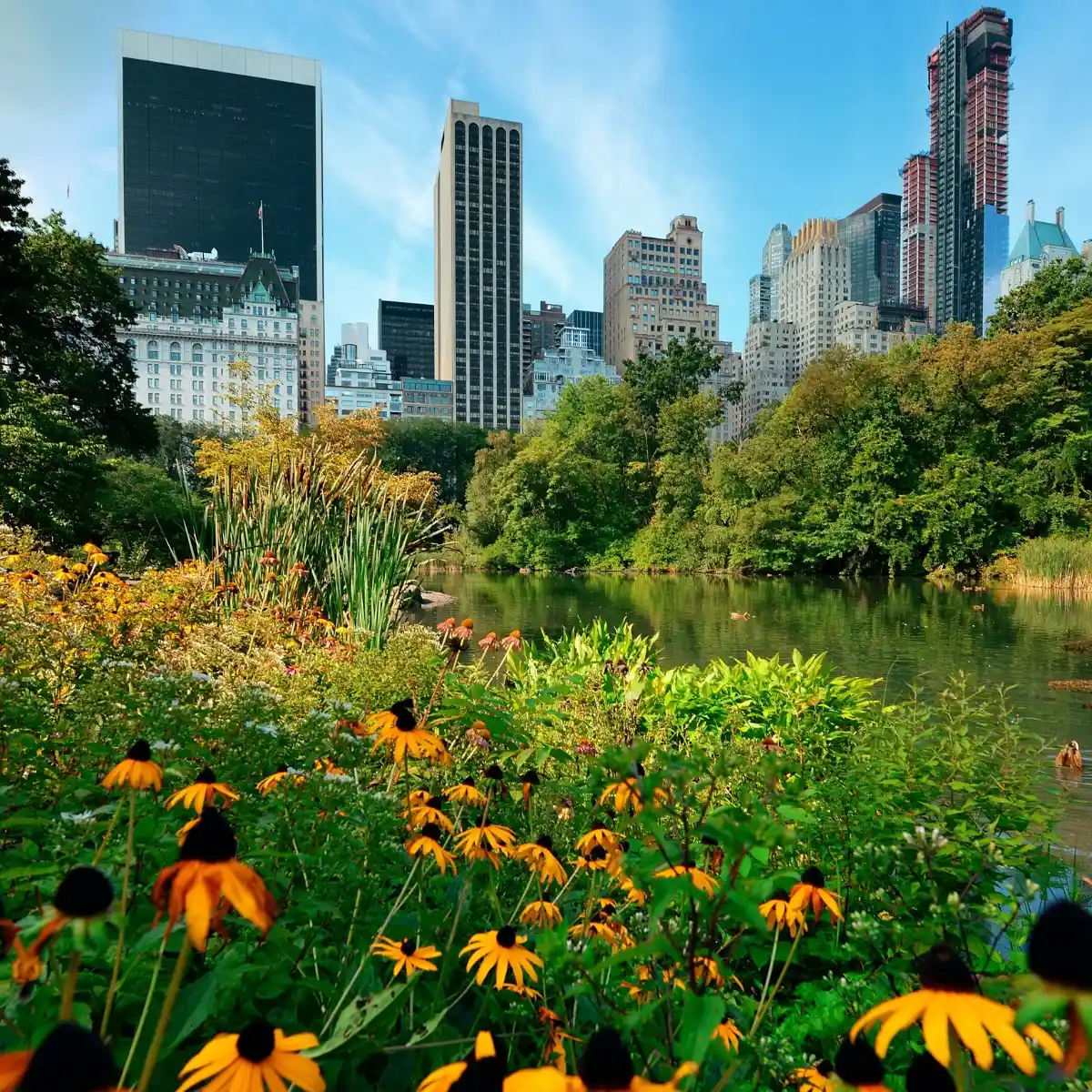 21 Cities Picked as Finalists for Showing How Plants Can Solve Incessant Urban Problems