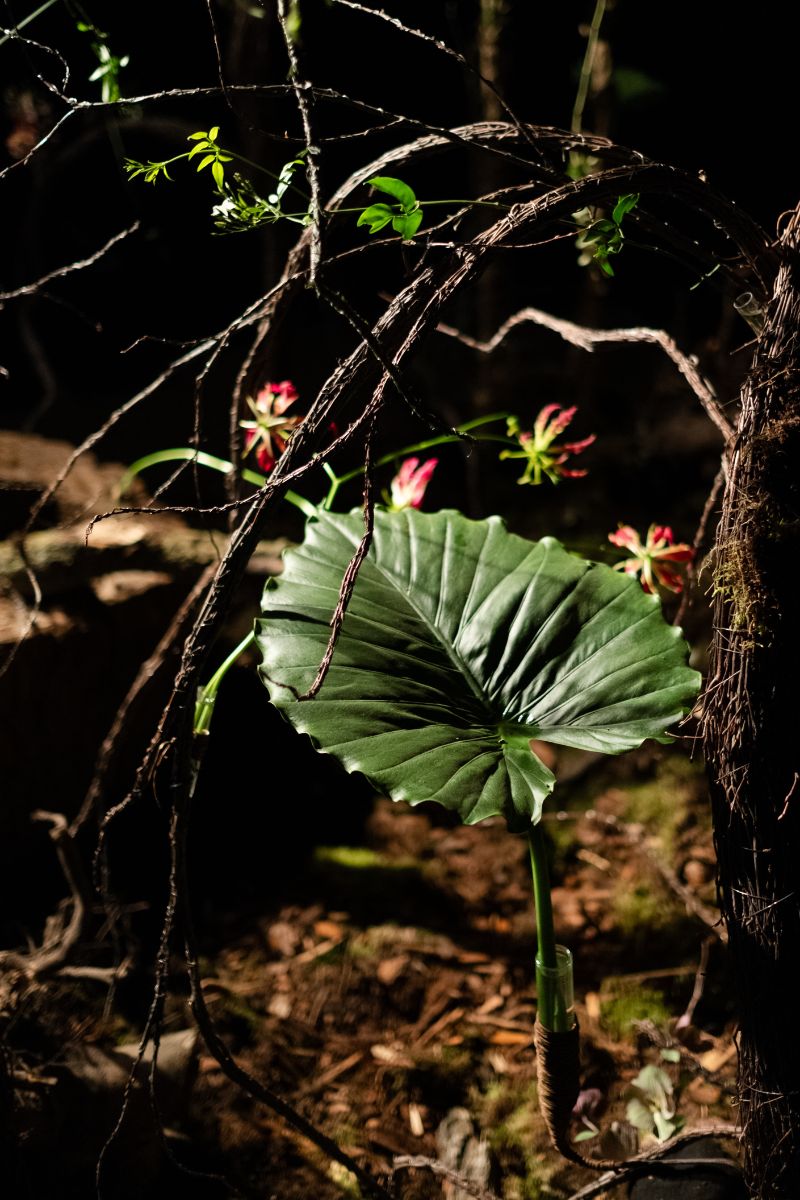 Vines, Leaves and Flowers to Connect 'BROKEN'