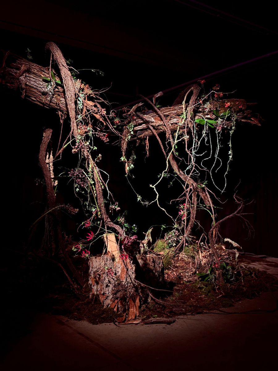The Installation 'BROKEN' at Floralien Ghent by Team Romania.