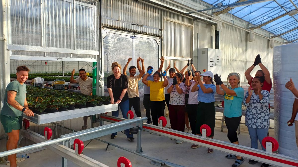 first table into greenhouse Koppe Begonia in Portugal by Lisanne and Sandra