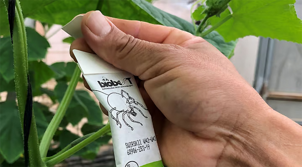 Greentech Innovation Awards 2026 Nominee Biobest