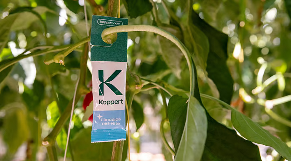 Greentech Innovation Awards 2026 Nominee Koppert