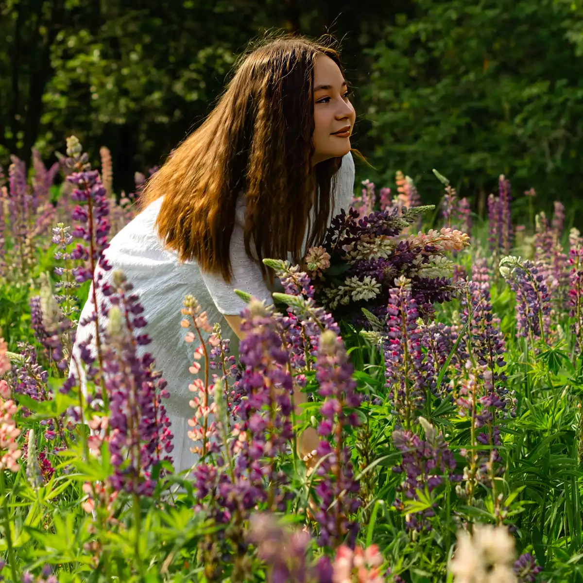 Which Flowers Give Your Garden a Wild Look and Aesthetics?
