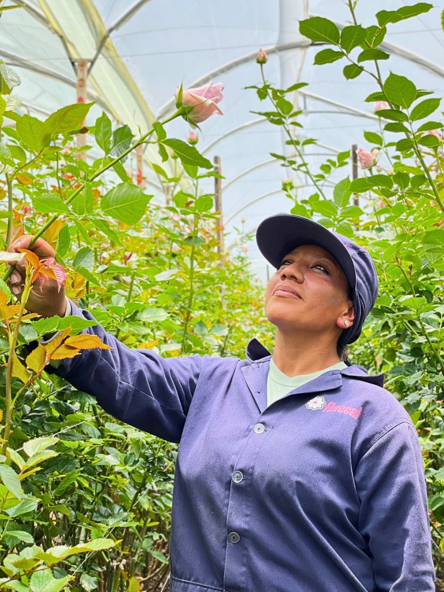 Education as the (Main) Driver of Sustainable Floriculture Practices