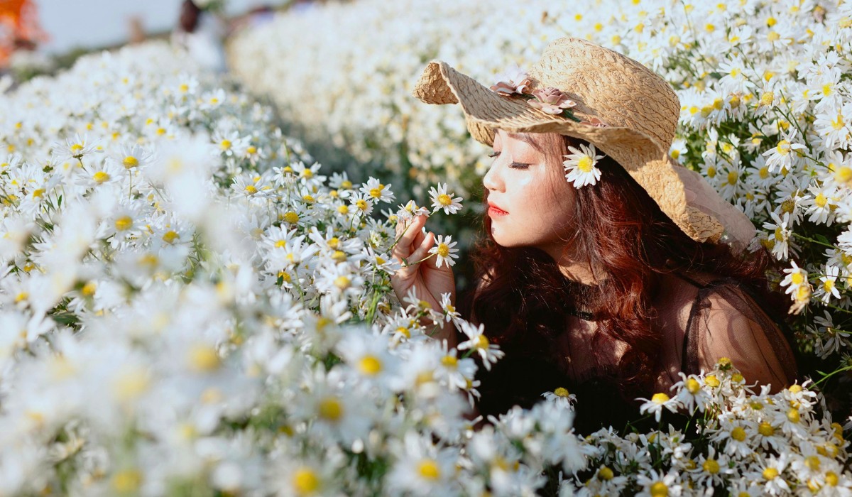 Why Do Some Flowers Open Only During the Day?