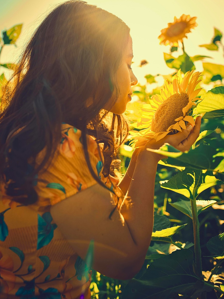 Why Do Some Flowers Open Only During the Day?