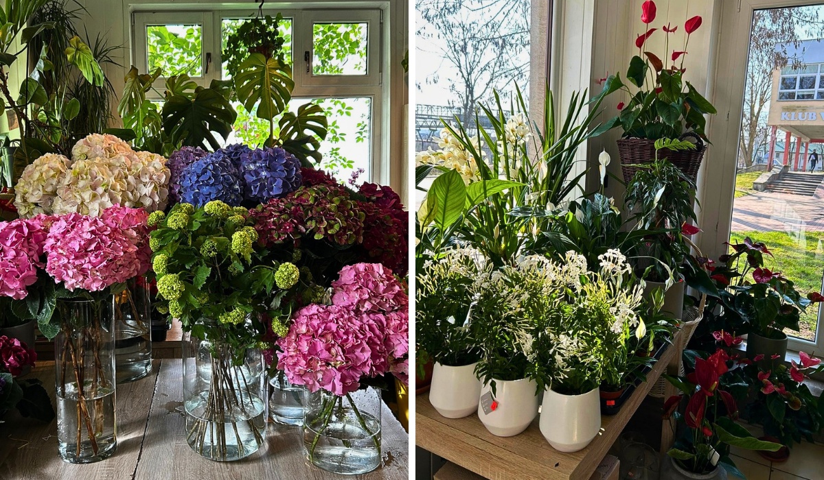 Michal Bursig on the Modern Flower Shop: Where Are We Heading?