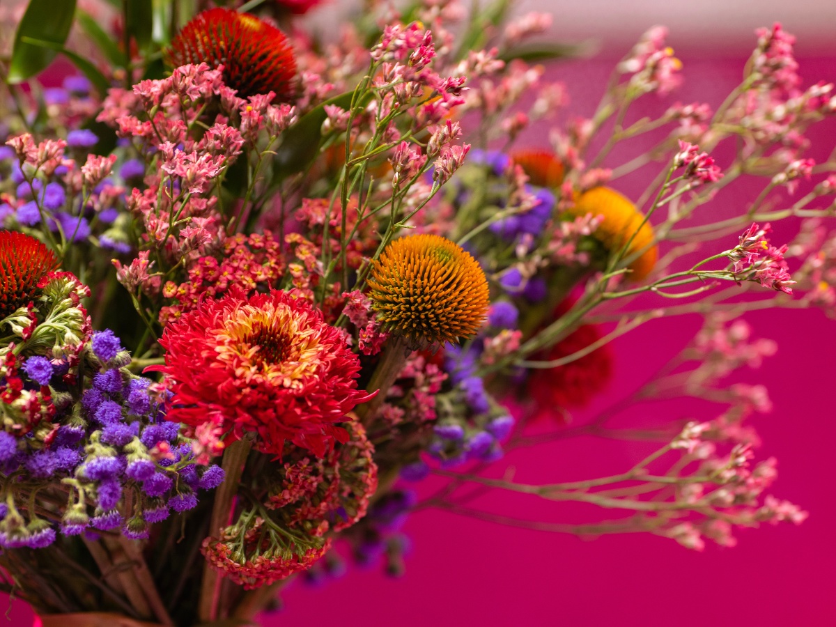 Johanna Snel Blog: Cinefleur Presents the Flowerverse With Flowers From Ball SB.
